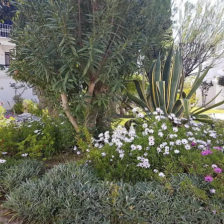 Perfect Holidays - Sao Rafael Apartamento Sesmarias